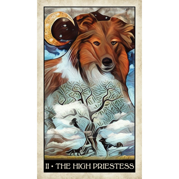 Wise Dog Tarot - metaphysical store canada