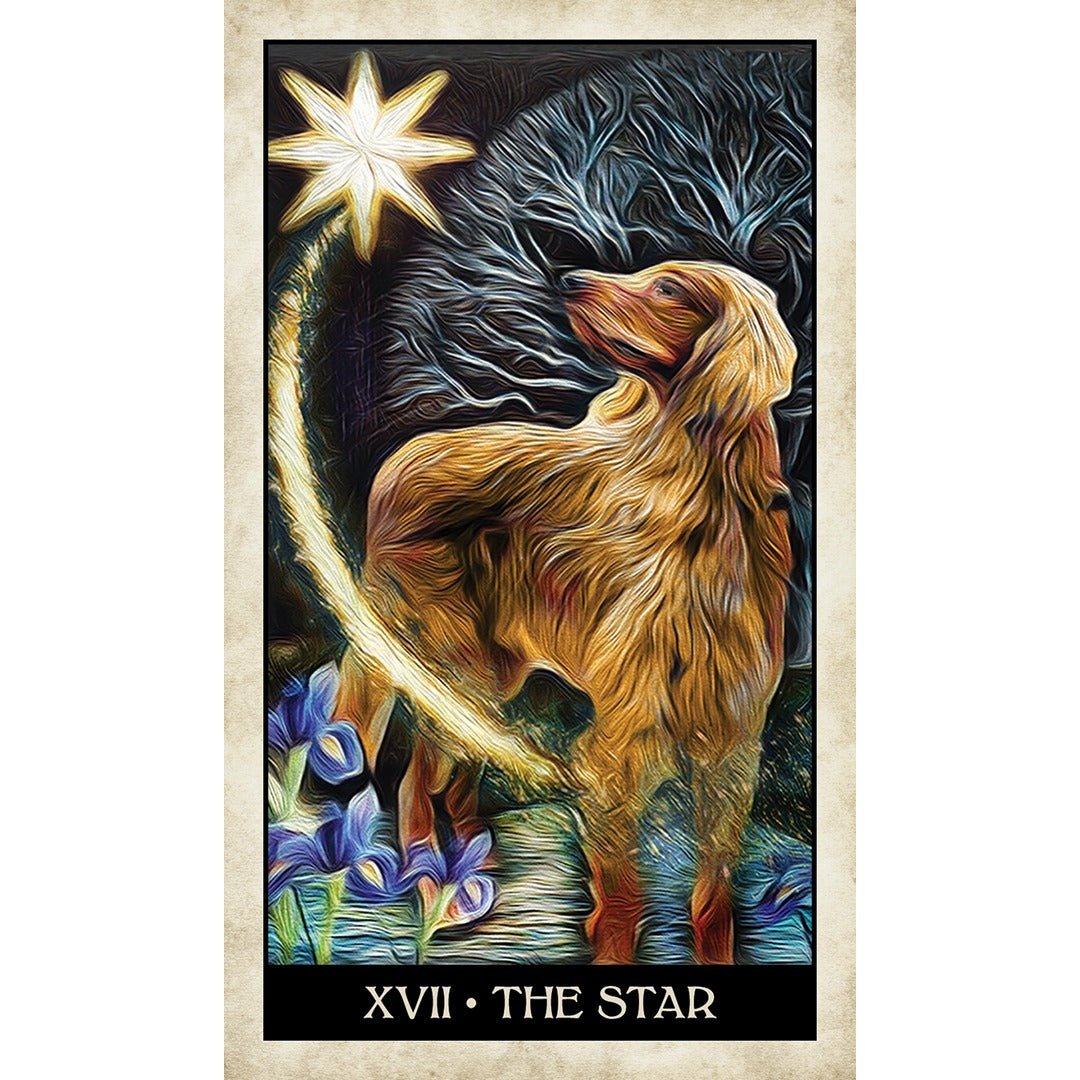 Wise Dog Tarot - metaphysical store canada