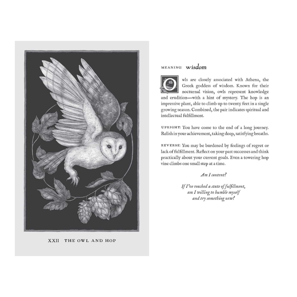 shop in-store or online for woodland wardens oracle deck a zen collection crystal stores Barrie.