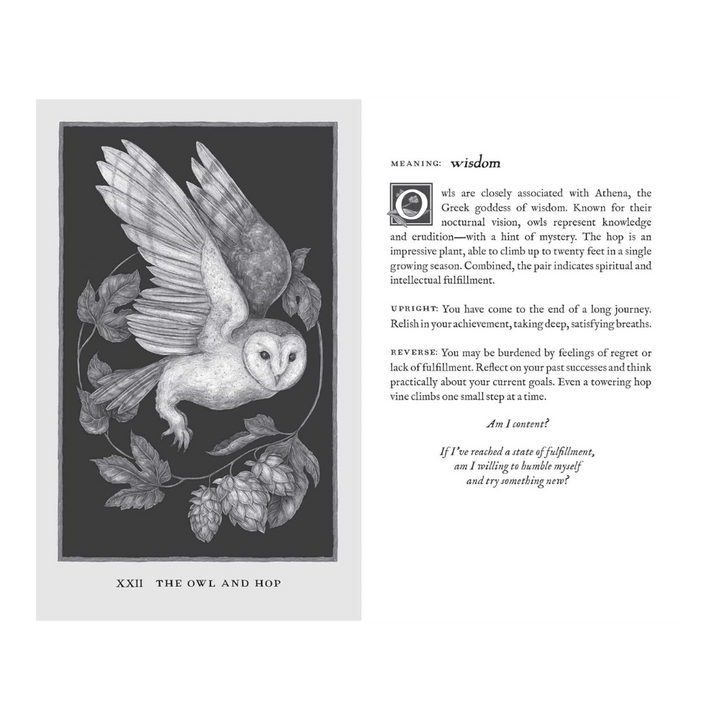 shop in-store or online for woodland wardens oracle deck a zen collection crystal stores Barrie.