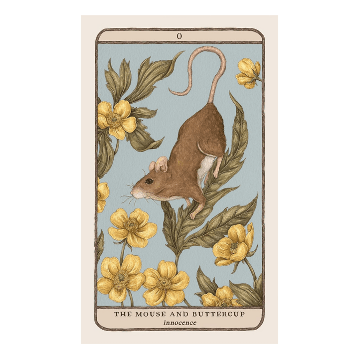 shop in-store or online for woodland wardens oracle deck a zen collection crystal stores Barrie.