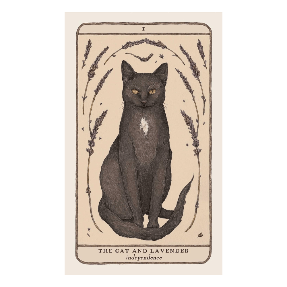 shop in-store or online for woodland wardens oracle deck a zen collection crystal stores Barrie.
