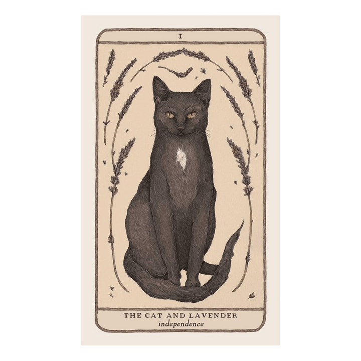 shop in-store or online for woodland wardens oracle deck a zen collection crystal stores Barrie.