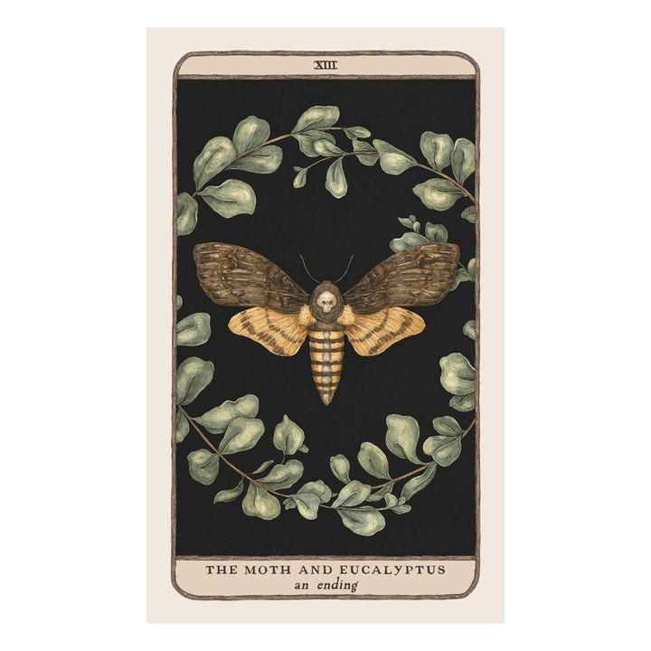 shop in-store or online for woodland wardens oracle deck a zen collection crystal stores Barrie.