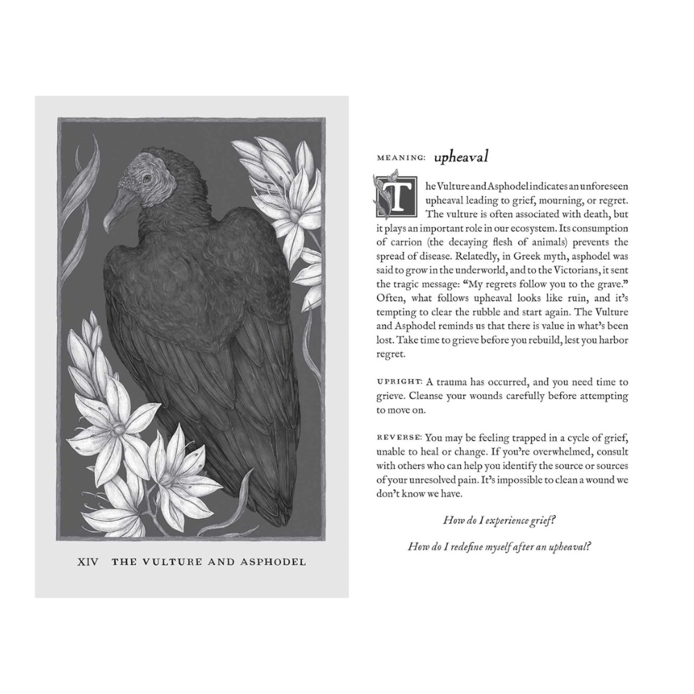 shop in-store or online for woodland wardens oracle deck a zen collection crystal stores Barrie.
