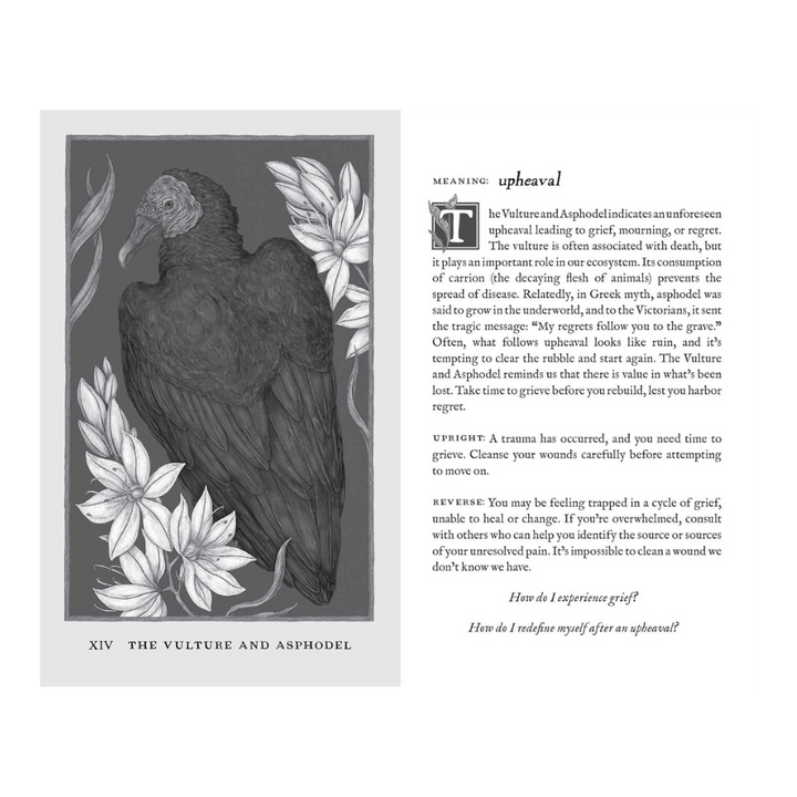 shop in-store or online for woodland wardens oracle deck a zen collection crystal stores Barrie.