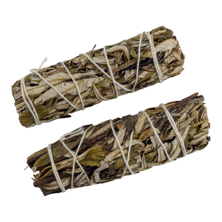 Two bundles of yerba santa tied together with twine on a white background available at zen collection metaphysical store in Barrie Ontario canada