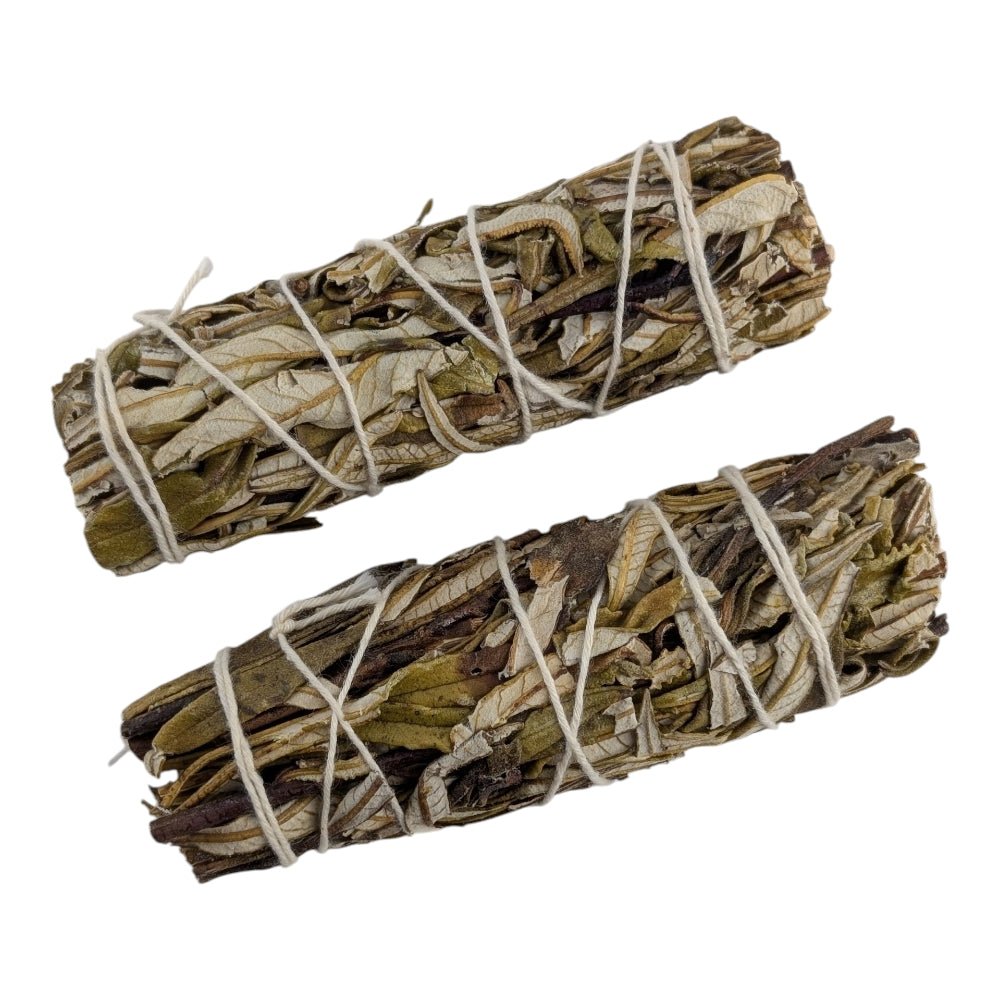Two bundles of yerba santa tied together with twine on a white background available at zen collection metaphysical store in Barrie Ontario canada