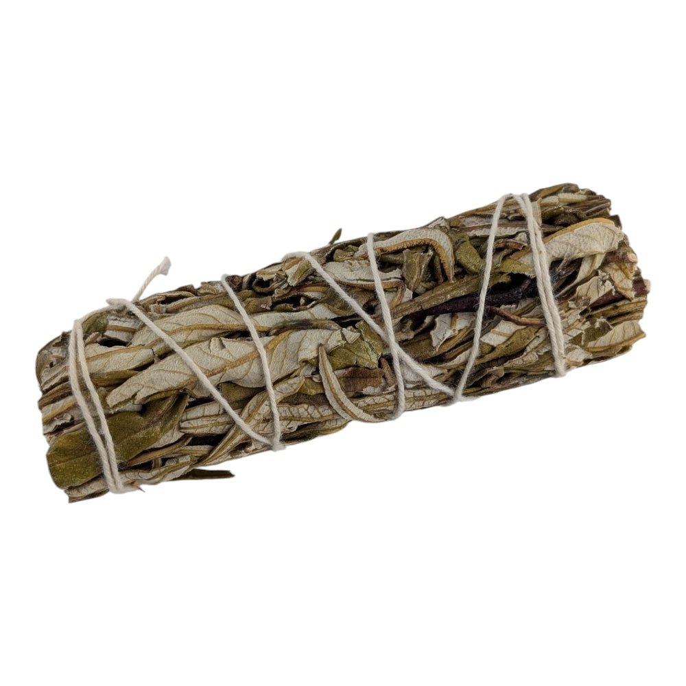 Bundled yerba santa stick on a white background available at Zen Collection Crystal store near me