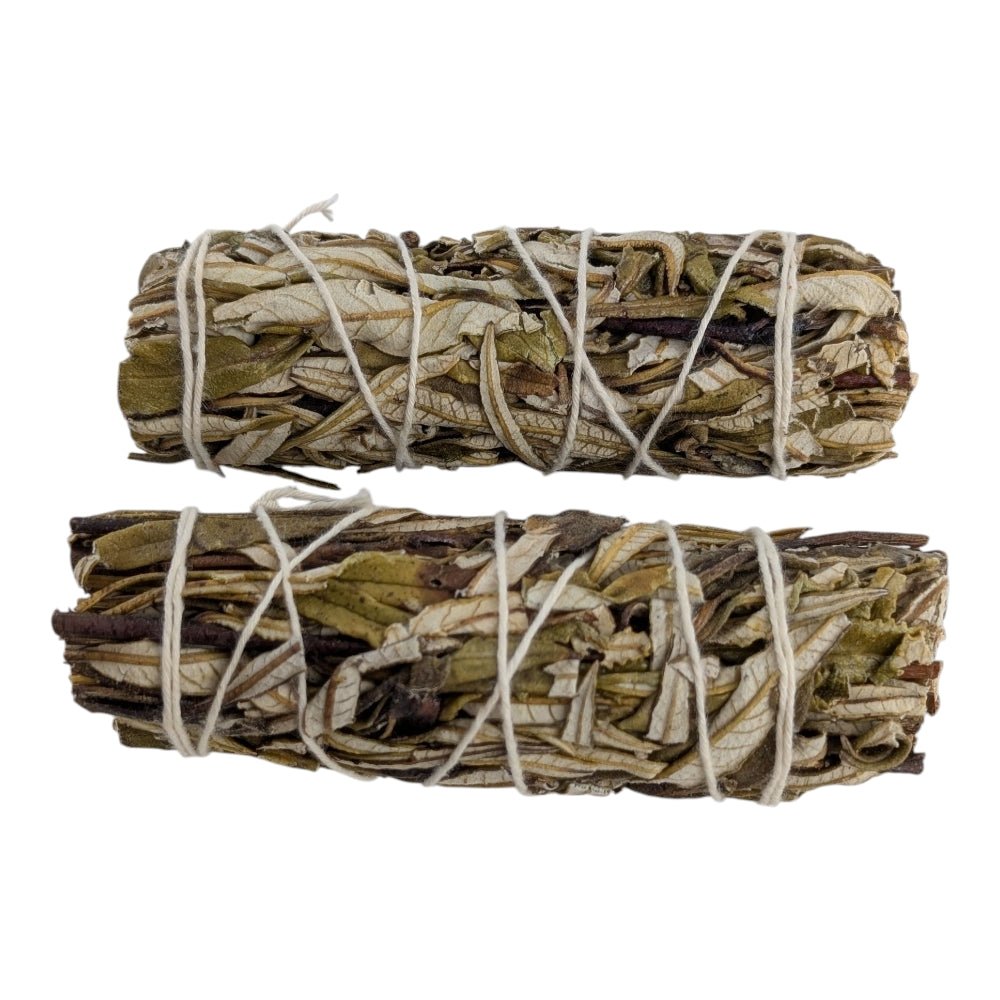 Two bundles of yerba santa tied together on a white background available at Zen Collection metaphysical new age store