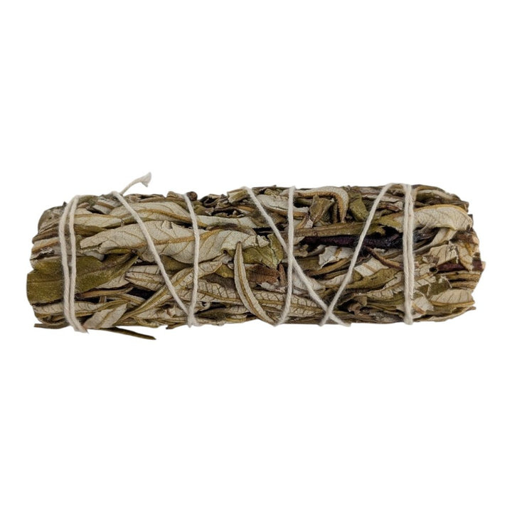 Bundled yerba santa smudge stick on a white background available at new age store in barrie