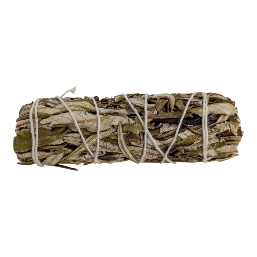 Bundled yerba santa smudge stick on a white background available at new age store in barrie