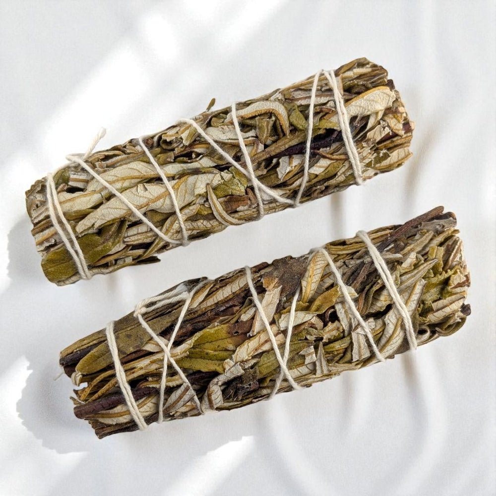 Two yerba santa smudge sticks tied with string on a white background available a barrie new age store
