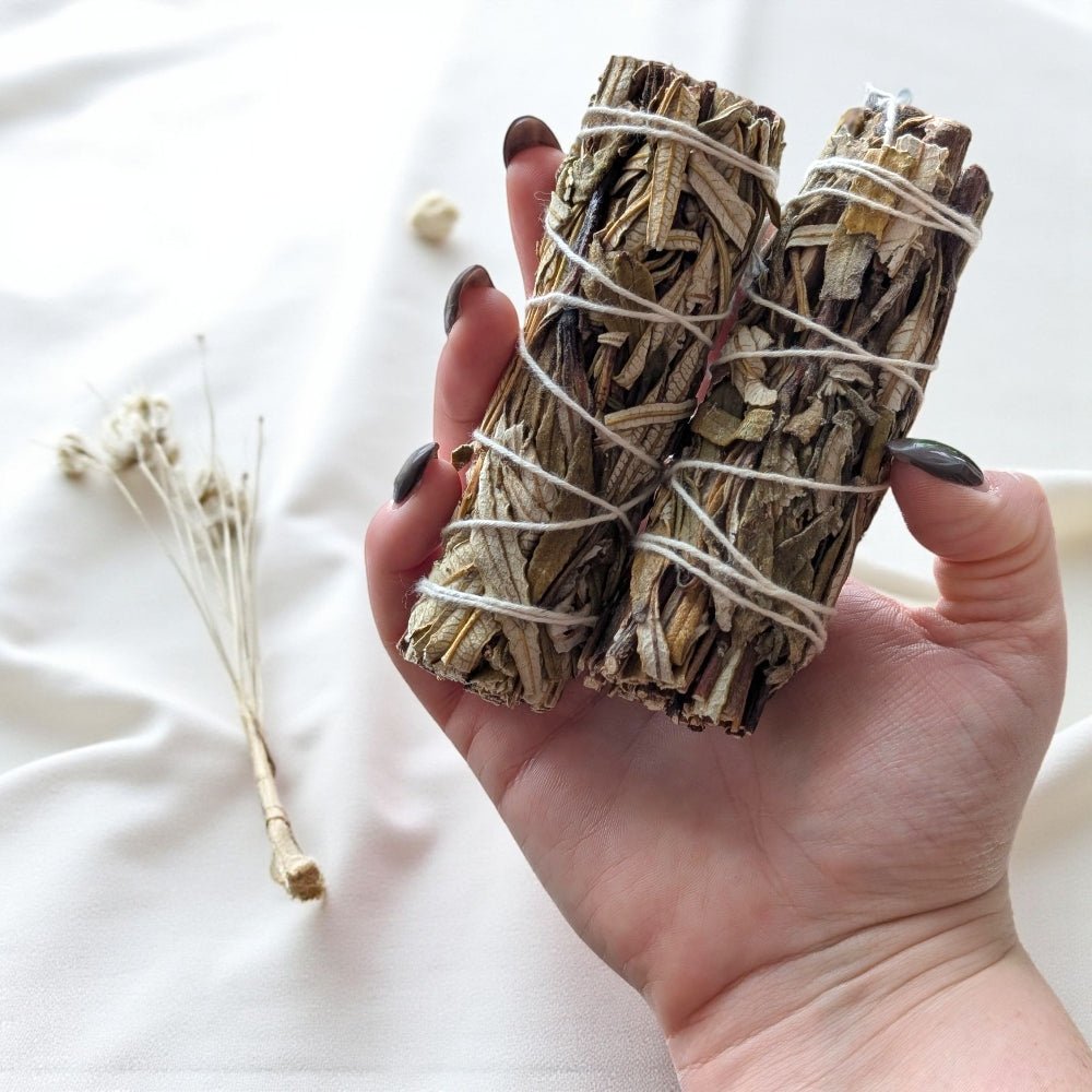 Hand holding two bundles of yerba santa on a light background available at crystal shop in barrie
