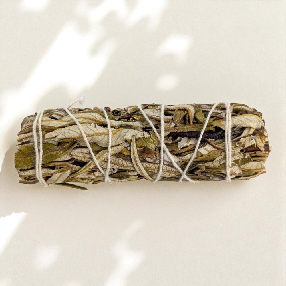 Rolled yerba santa bundle tied with twine on a white background sourced by zen collection new age store barrie ontario