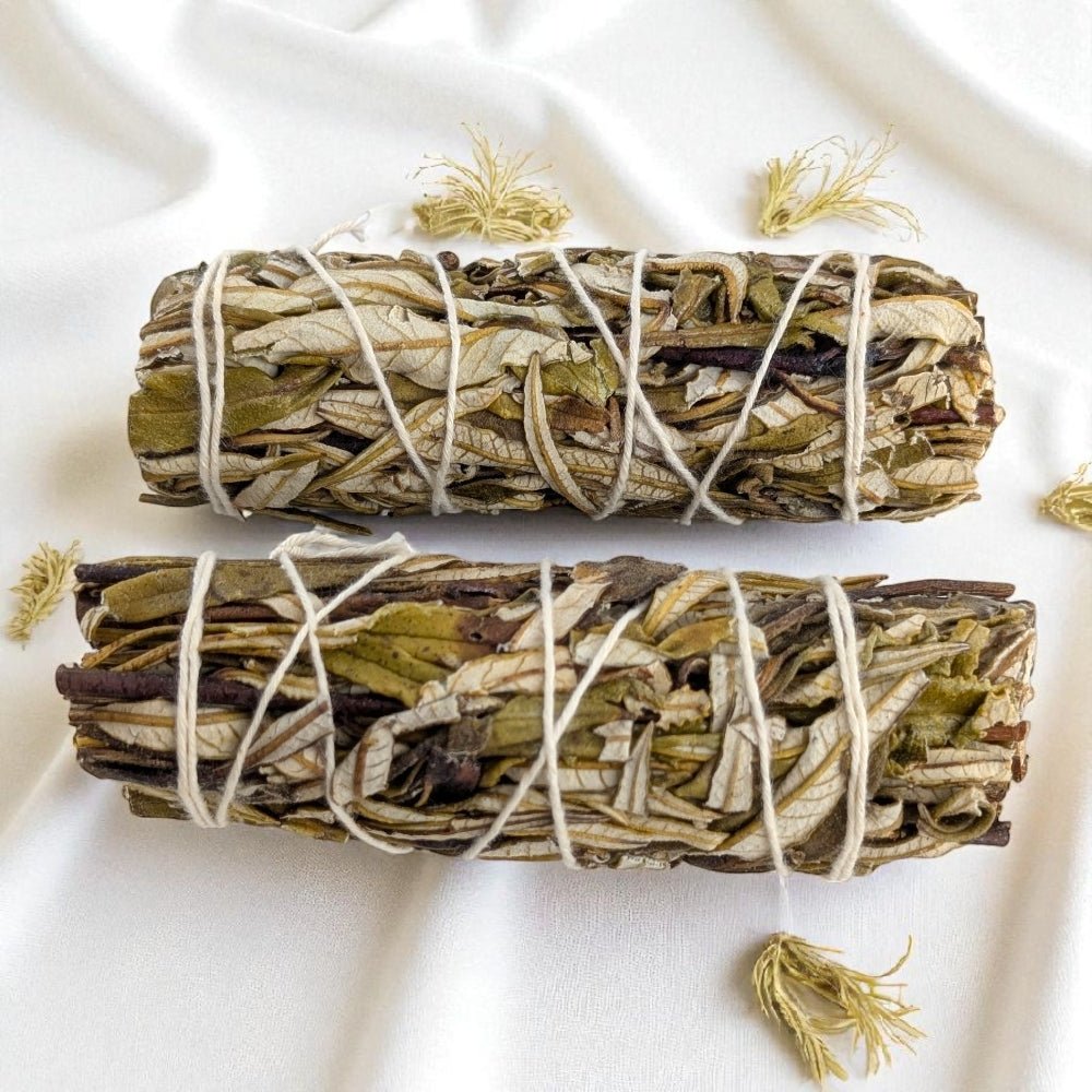 Two bundles of yerba santa tied together on a white background sourced from new age store in barrie