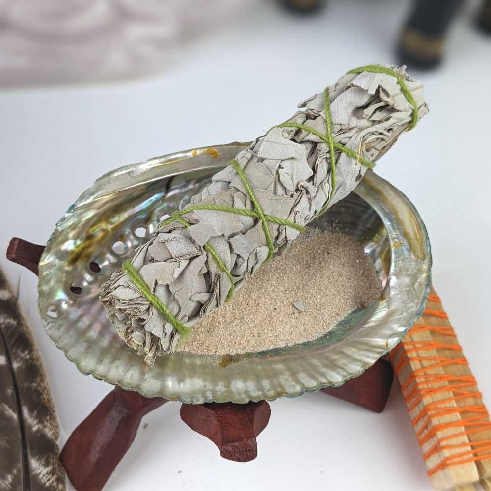 Abalone Shells 4″-5″ - Zen Collection