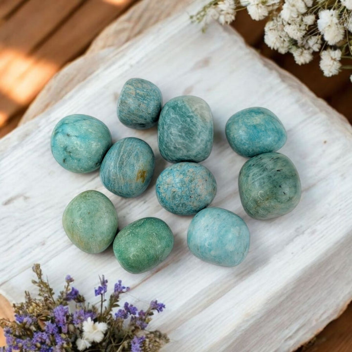 Amazonite Tumbles - Zen Collection