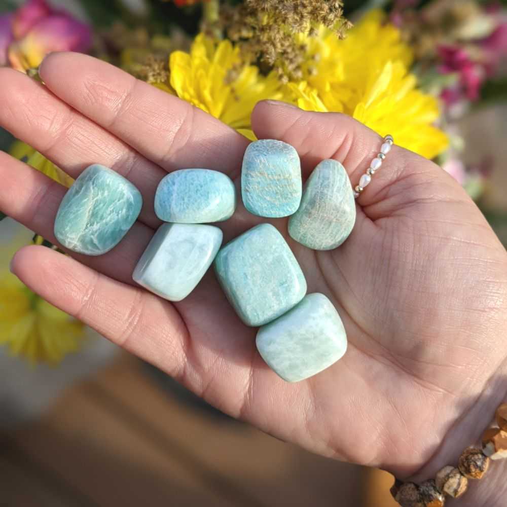 Amazonite Tumbles - Zen Collection