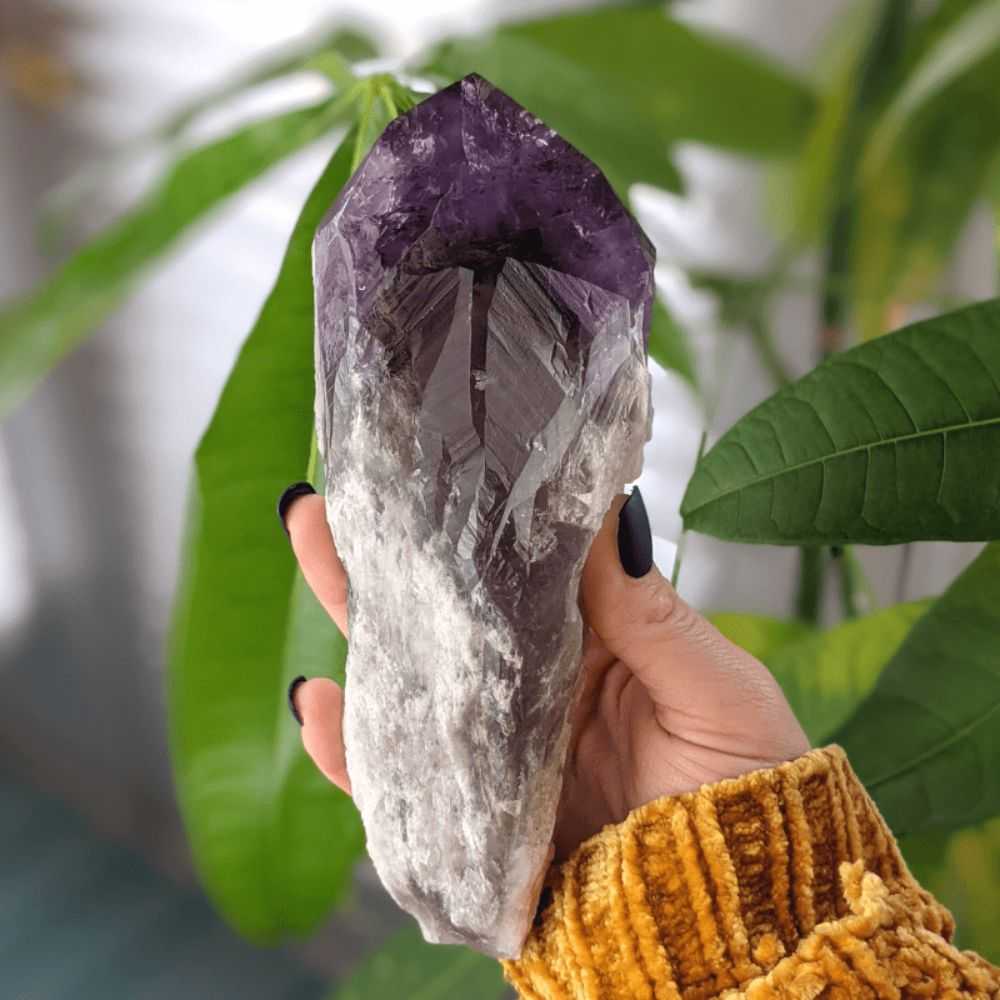 Amethyst Root - Zen Collection