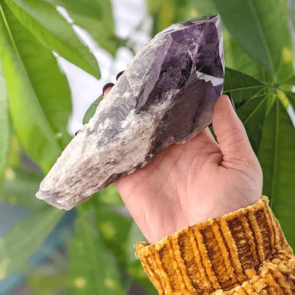 Amethyst Root - Zen Collection