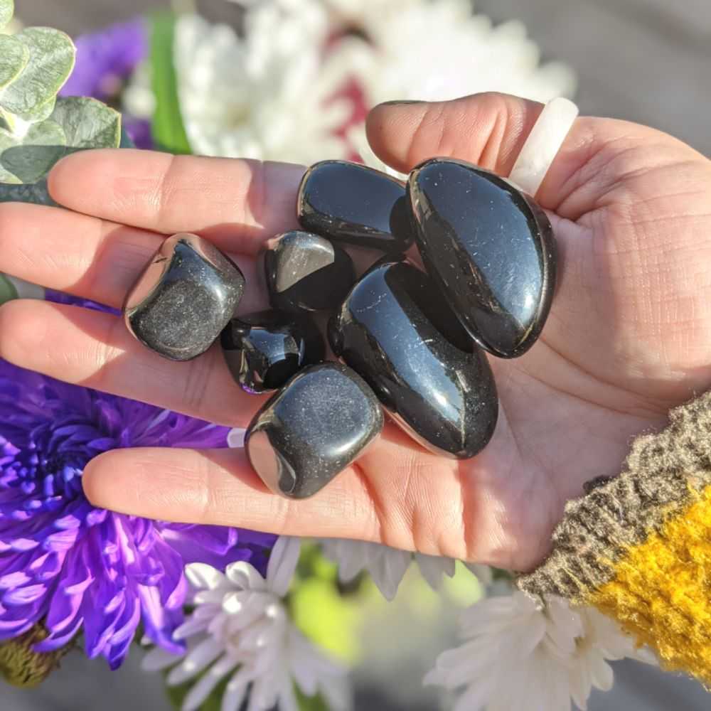 Black Obsidian Tumbles - Zen Collection