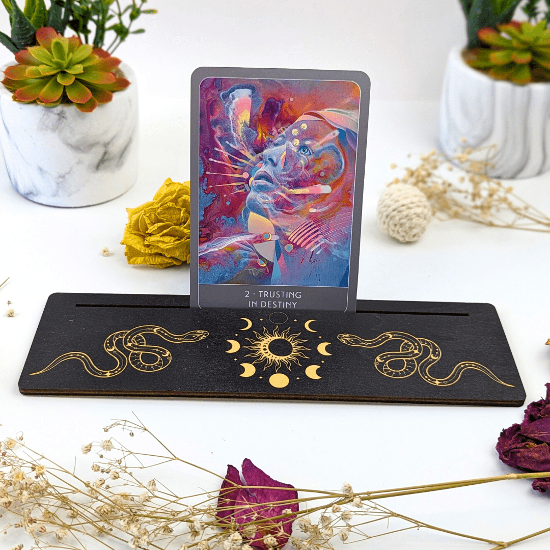 Black Snake Multi Card Holder - Zen Collection
