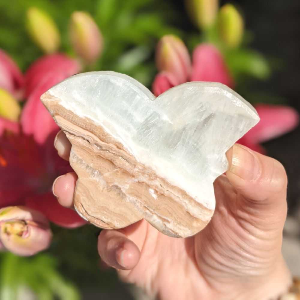 Caribbean Calcite Butterfly - Zen Collection