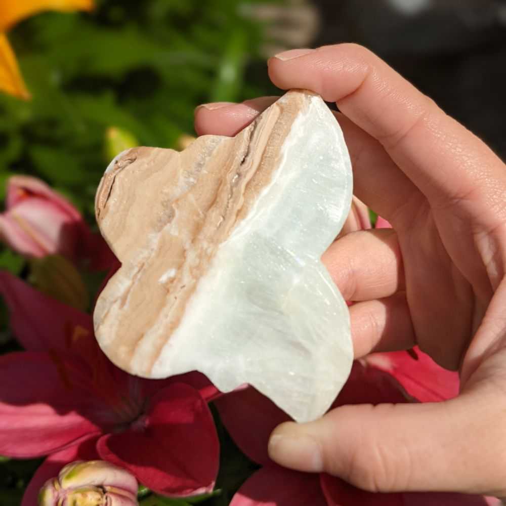 Caribbean Calcite Butterfly - Zen Collection