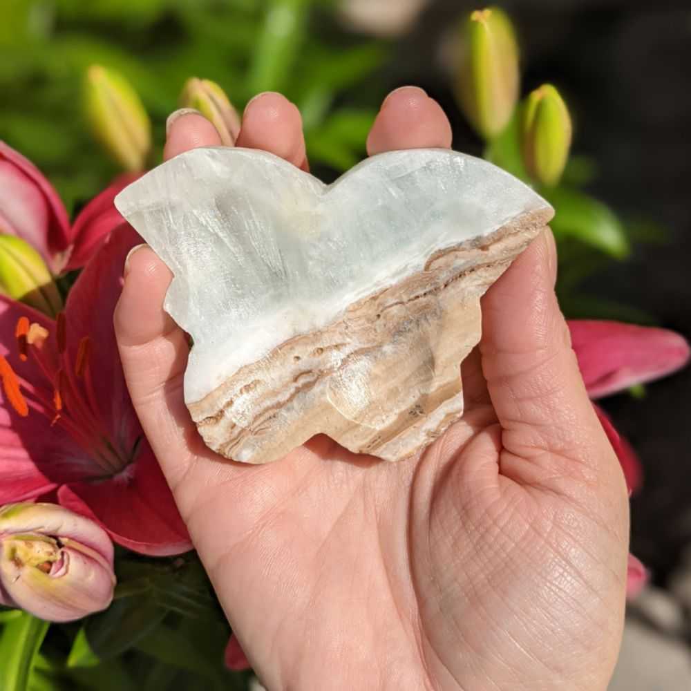 Caribbean Calcite Butterfly - Zen Collection