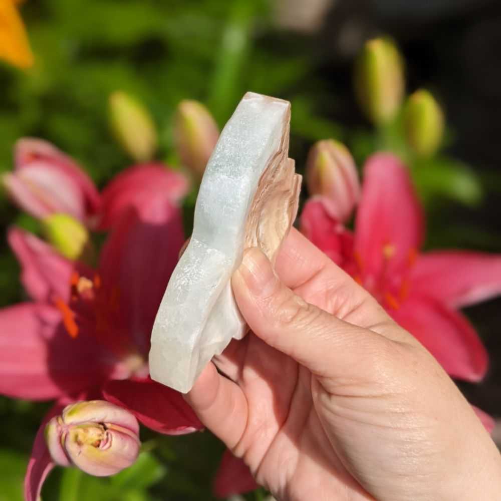 Caribbean Calcite Butterfly - Zen Collection