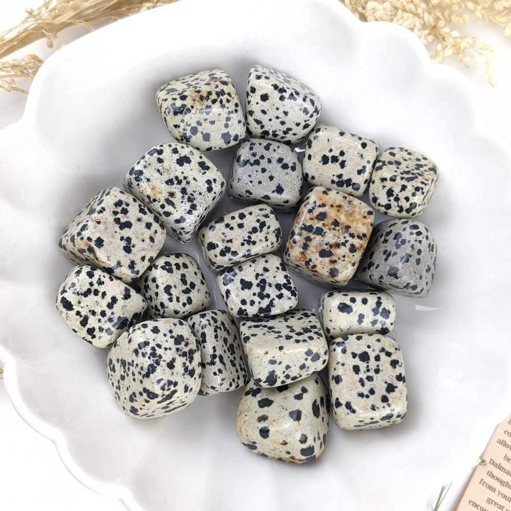 Dalmatian Jasper Tumbles - Zen Collection