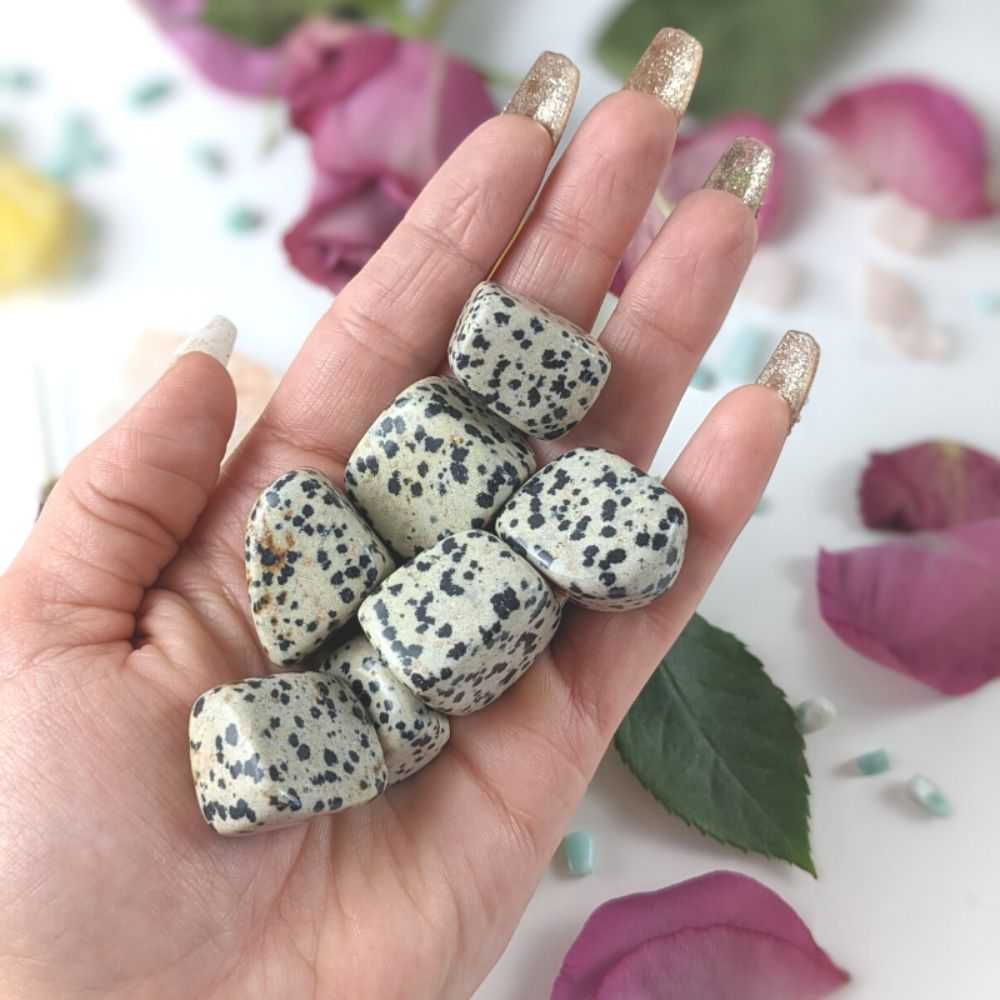 Dalmatian Jasper Tumbles - Zen Collection