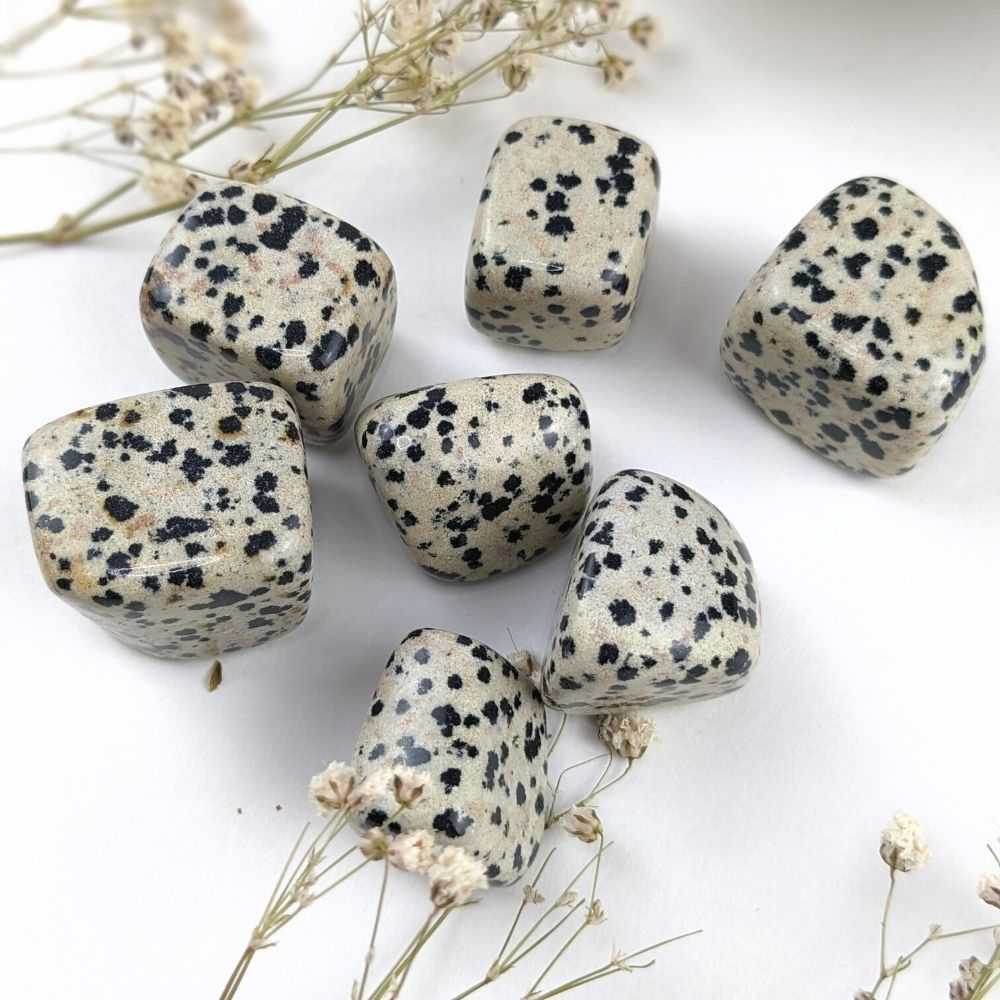 Dalmatian Jasper Tumbles - Zen Collection