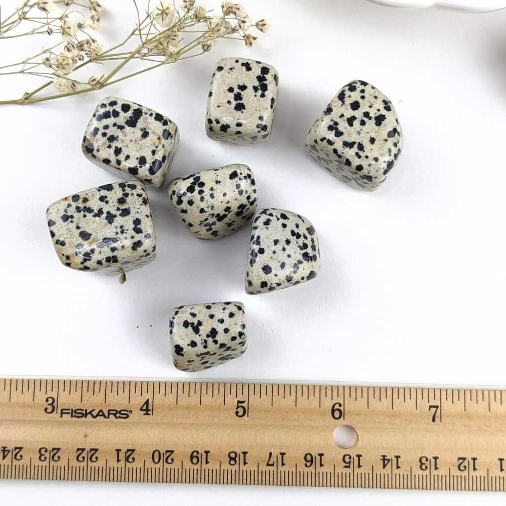 Dalmatian Jasper Tumbles - Zen Collection