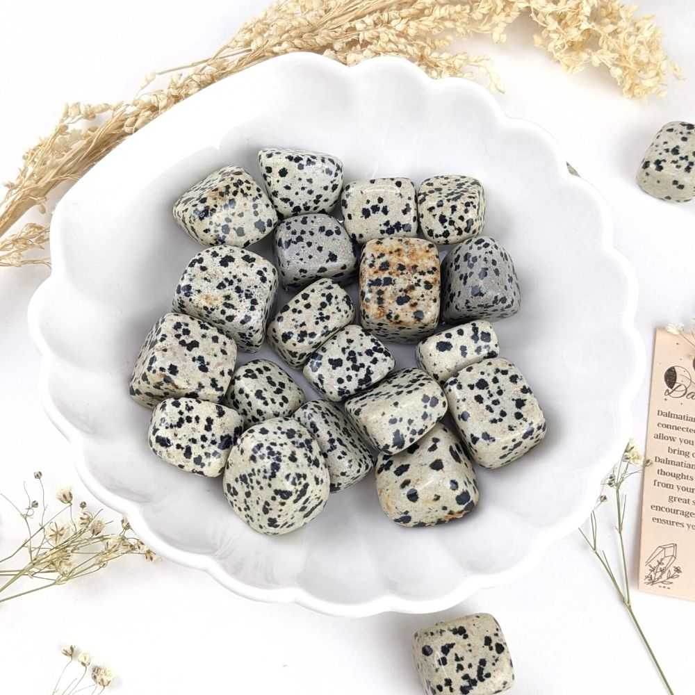 Dalmatian Jasper Tumbles - Zen Collection