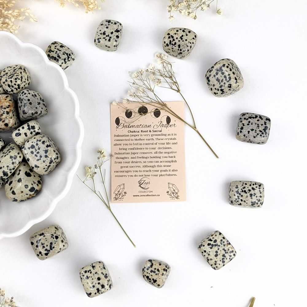 Dalmatian Jasper Tumbles - Zen Collection