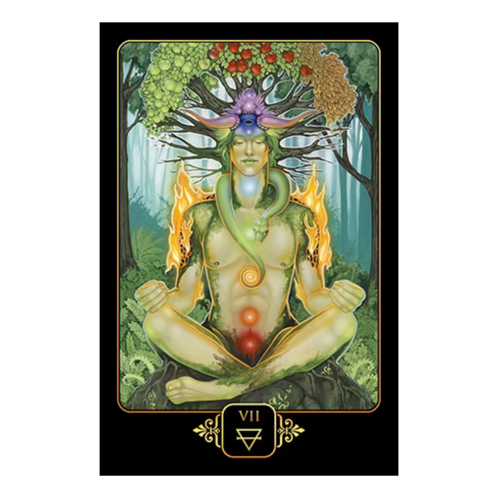 Dreams of Gaia Tarot Pocket Edition - Zen Collection