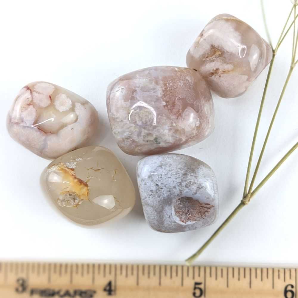 Flower Agate Tumbles - Zen Collection