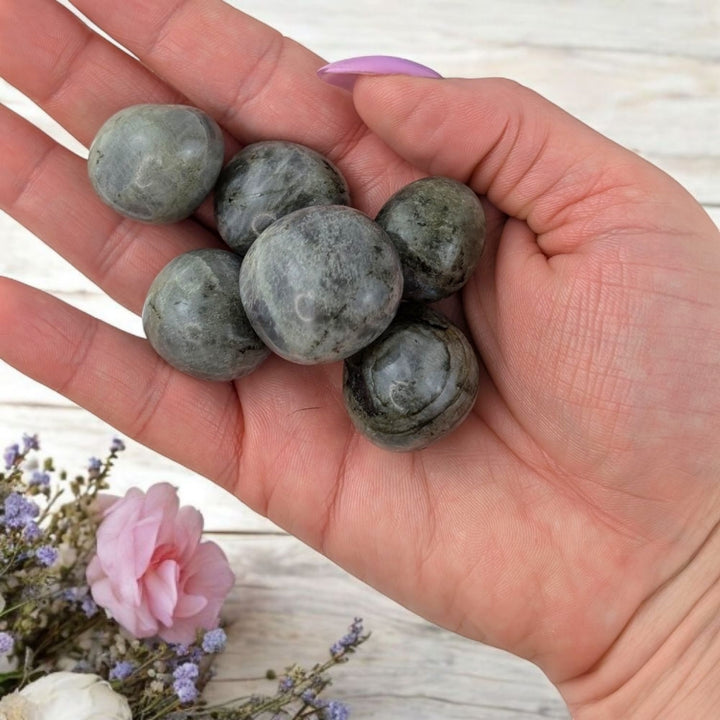 Labradorite Tumbles - Zen Collection
