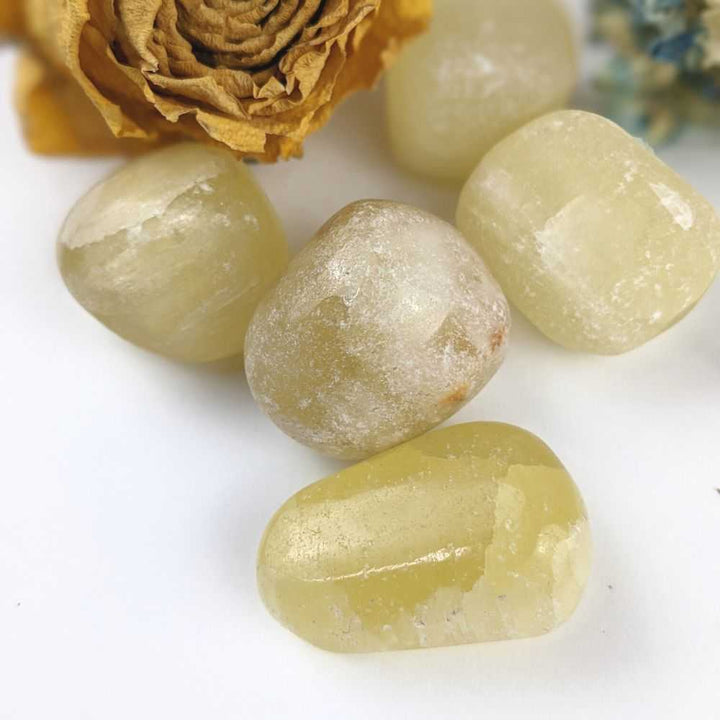 Lemon Calcite Tumbles - Zen Collection