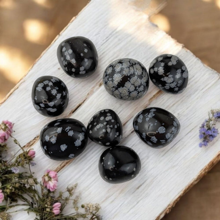 Snowflake Obsidian Tumbles - Zen Collection
