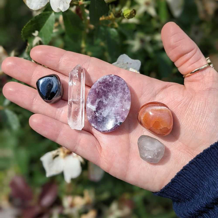 Studying Crystal Set - Zen Collection