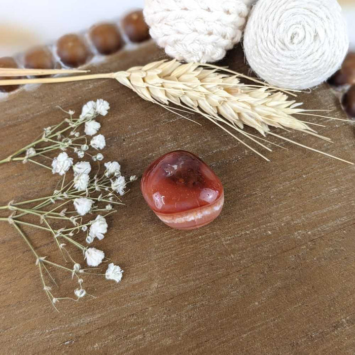 Studying Crystal Set - Zen Collection