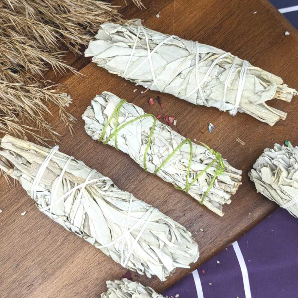 White Sage Stick 6 Inch - Zen Collection