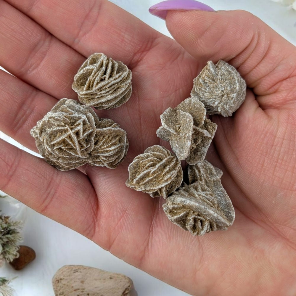 Desert Rose - Zen Collection