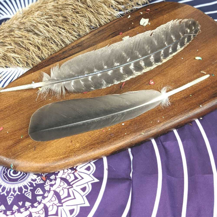 Starter Energy Cleansing Kit - Zen Collection