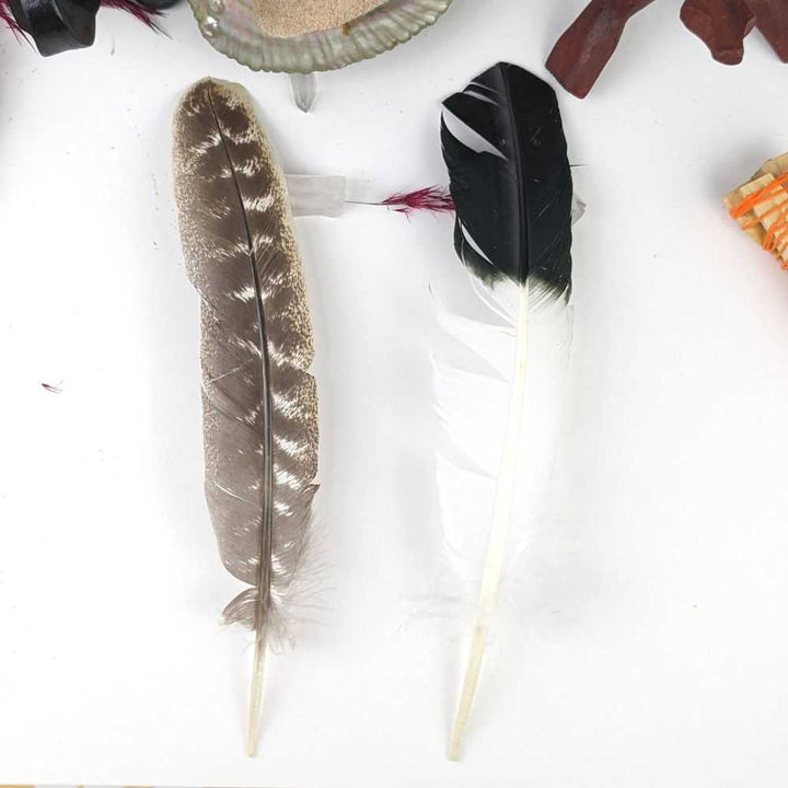 Ultimate Energy Cleansing Kit - Zen Collection