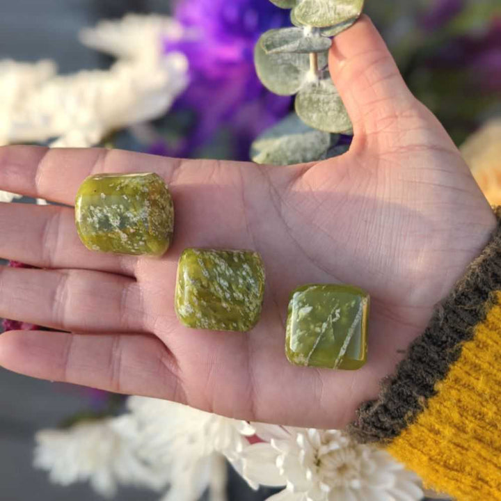 Serpentine Tumbles - Zen Collection
